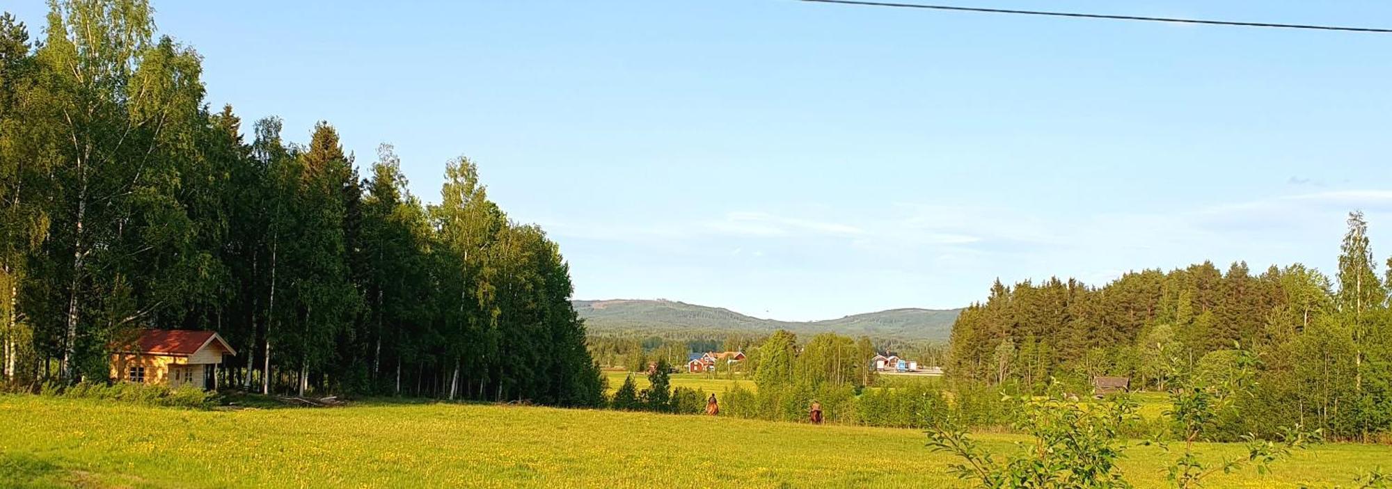 Hotel Skalbo Gardsglamping à Järvsö Extérieur photo